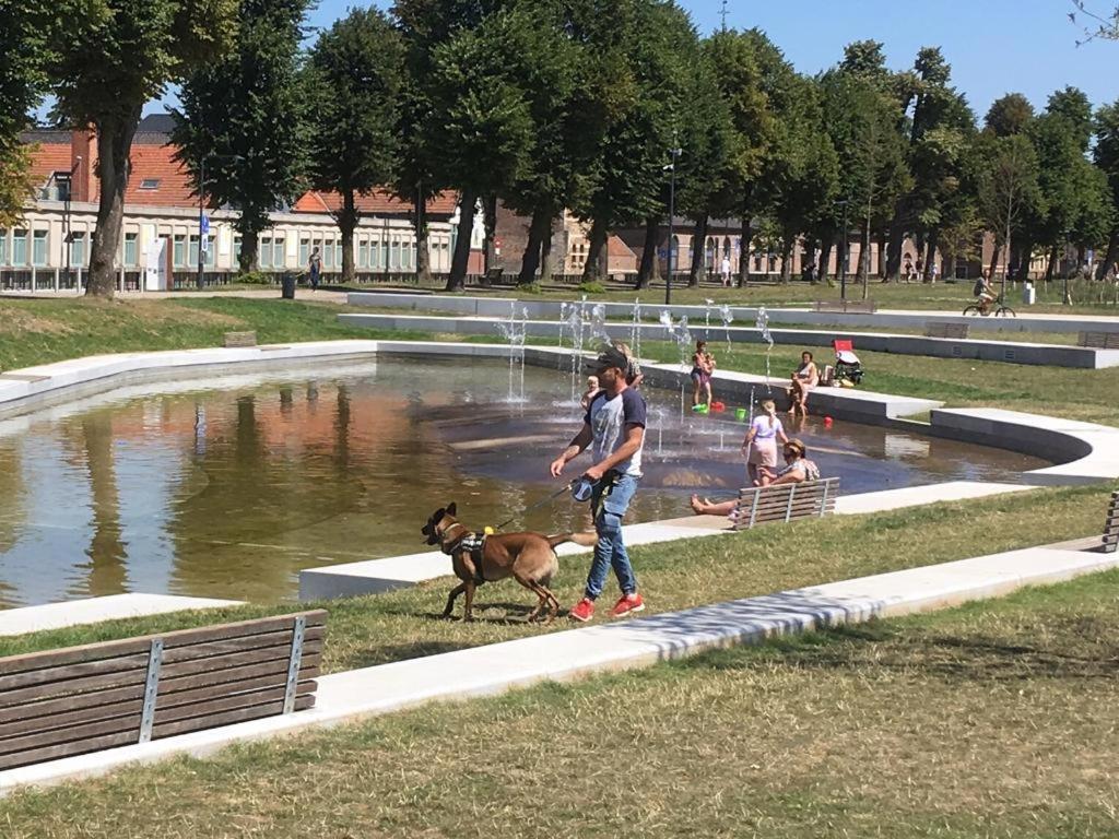 Villa Domus XIX Tongeren Eksteriør billede
